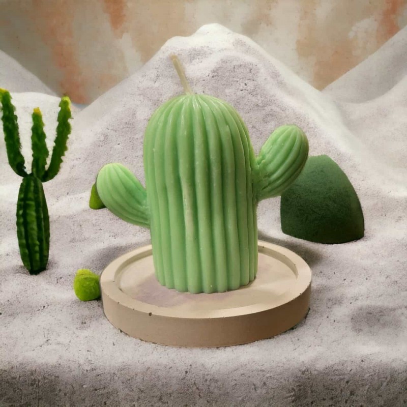 Vela Soja Cactus